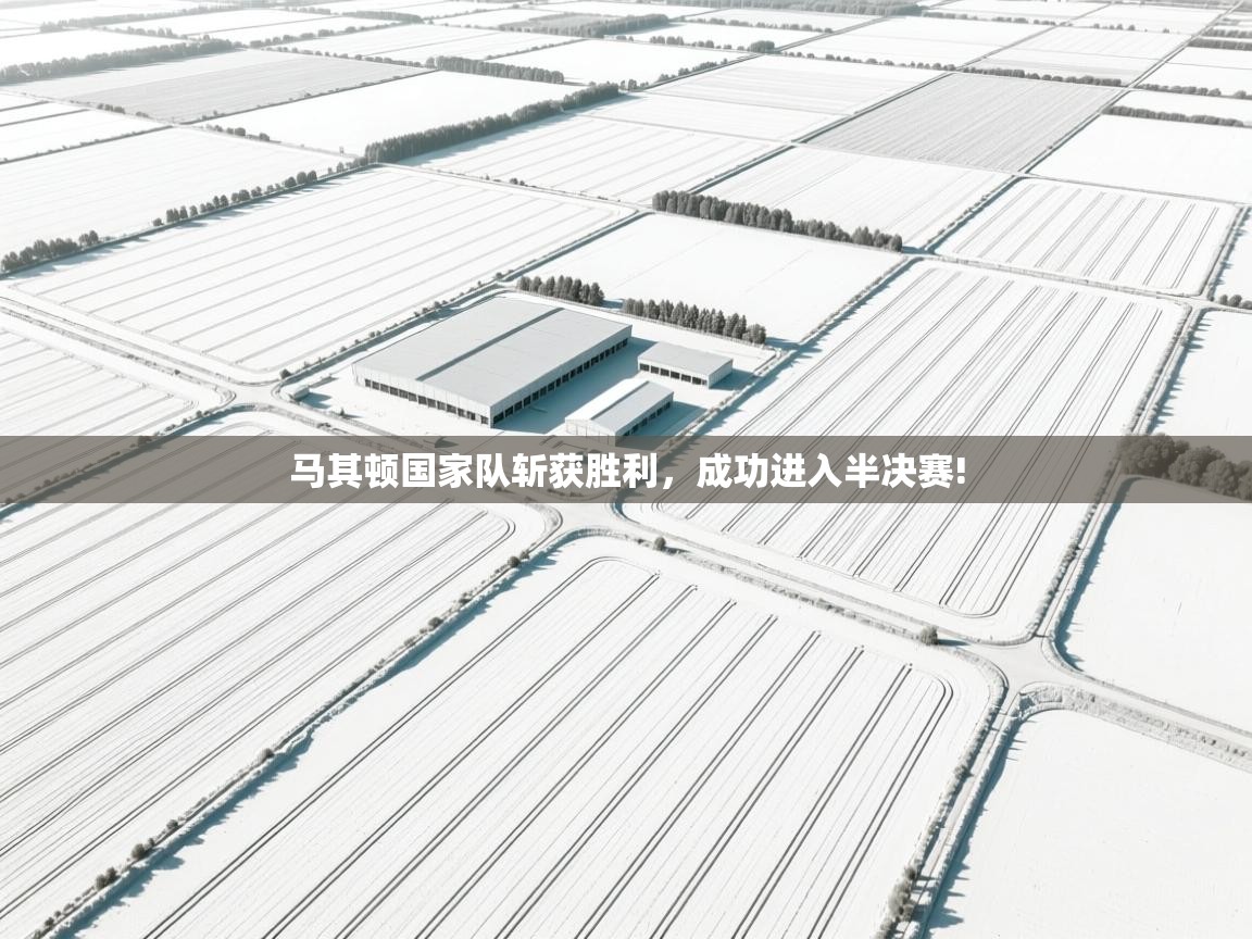 马其顿国家队斩获胜利，成功进入半决赛!  第2张