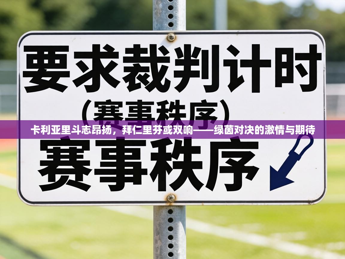 卡利亚里斗志昂扬，拜仁里芬或双响——绿茵对决的激情与期待  第2张